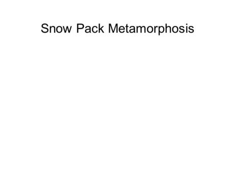 Snow Pack Metamorphosis