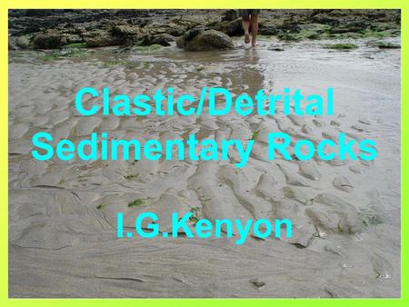 Clastic/Detrital Sedimentary Rocks