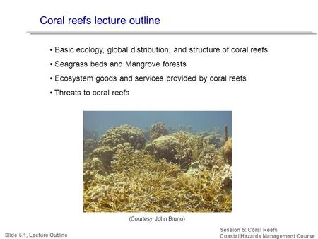 Coral reefs lecture outline Session 5: Coral Reefs Coastal Hazards Management Course Basic ecology, global distribution, and structure of coral reefs Seagrass.