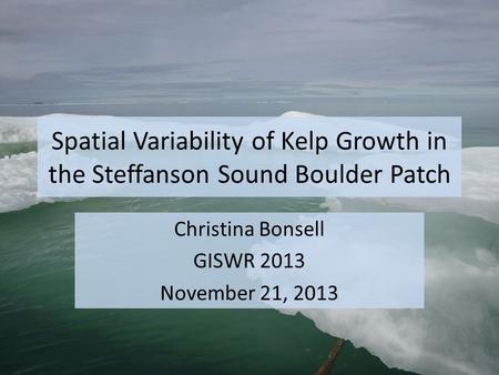 Spatial Variability of Kelp Growth in the Steffanson Sound Boulder Patch Christina Bonsell GISWR 2013 November 21, 2013.