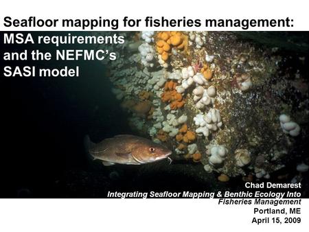 Seafloor mapping for fisheries management: MSA requirements and the NEFMC’s SASI model Chad Demarest Integrating Seafloor Mapping & Benthic Ecology Into.