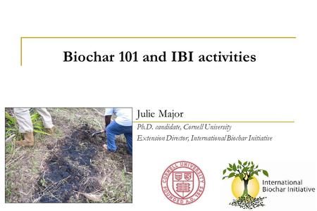 Julie Major Ph.D. candidate, Cornell University Extension Director, International Biochar Initiative Biochar 101 and IBI activities.