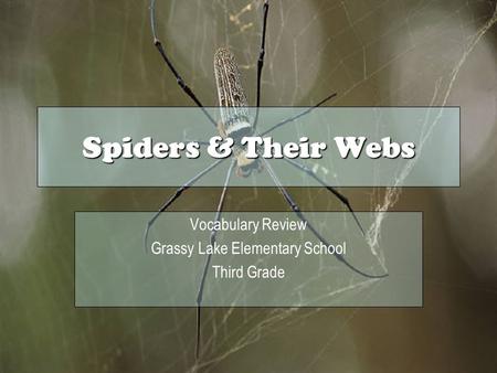 Spiders & Their Webs Vocabulary Review Grassy Lake Elementary School Third Grade.
