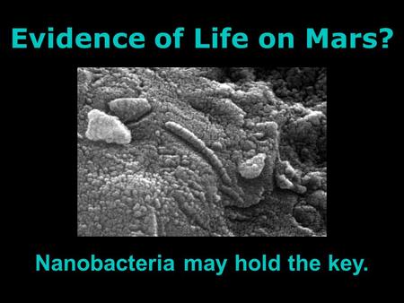 Evidence of Life on Mars? Nanobacteria may hold the key.