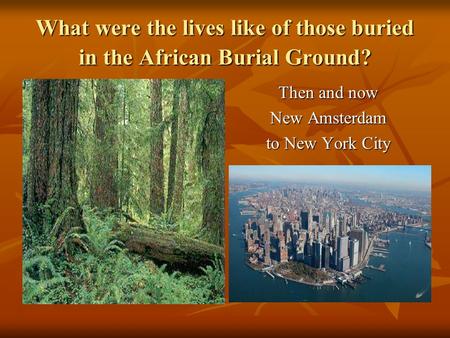 What were the lives like of those buried in the African Burial Ground? Then and now New Amsterdam to New York City.