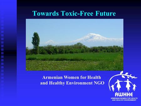 Towards Toxic-Free Future Armenian Women for Health and Healthy Environment NGO.
