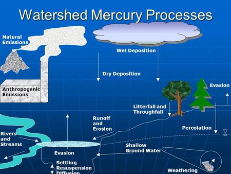Anthropogenic Emissions Wet Deposition Dry Deposition Evasion Watershed Mercury Processes Natural Emissions Percolation Shallow Ground Water Settling Resuspension.