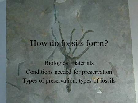 How do fossils form? Biological materials Conditions needed for preservation Types of preservation, types of fossils.