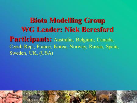 Biota Modelling Group WG Leader: Nick Beresford Participants: Participants: Australia, Belgium, Canada, Czech Rep., France, Korea, Norway, Russia, Spain,