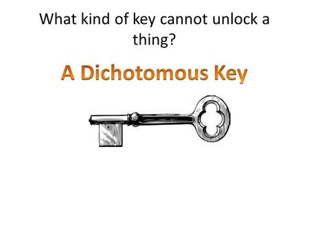 What kind of key cannot unlock a thing? Dichotomous Keys A dichotomous key is a tool that allows the user to determine the identity of items in the natural.