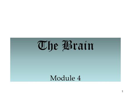 1 The Brain Module 4. 2 The Brain: Older Brain Structures The Brainstem is the oldest part of the brain, beginning where the spinal cord swells and enters.