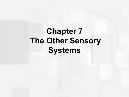 Chapter 7 The Other Sensory Systems