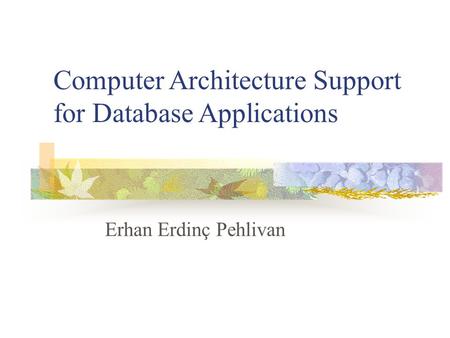 Erhan Erdinç Pehlivan Computer Architecture Support for Database Applications.
