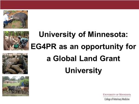 University of Minnesota: EG4PR as an opportunity for a Global Land Grant University.