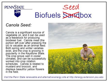 Canola Seed: Canola is a significant source of vegetable oil, and it can be used as a feedstock for producing biodiesel fuel. Canola meal (the portion.