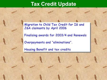 Tax Credit Update Migration to Child Tax Credit for IS and JSA claimants by April 2006 Finalising awards for 2003/4 and Renewals Overpayments and “eliminations”.