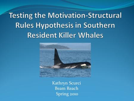 Kathryn Scurci Beam Reach Spring 2010. Background 3 pods of Southern resident killer whales (J, K, and L) 3 types of phonations: Clicks Whistles Pulsed.