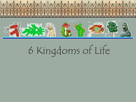 6 Kingdoms of Life.