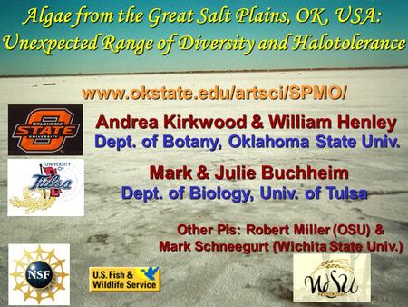 Algae from the Great Salt Plains, OK, USA: Unexpected Range of Diversity and Halotolerance Andrea Kirkwood & William Henley Dept. of Botany, Oklahoma State.