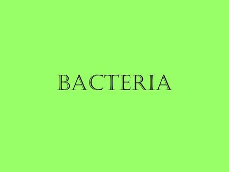 Bacteria. Classification unicellular prokaryotes 2 Domains Achaea –Kingdom Archaebacteria (ancient) –found in marshes, swamps, hot sulfur springs, Great.