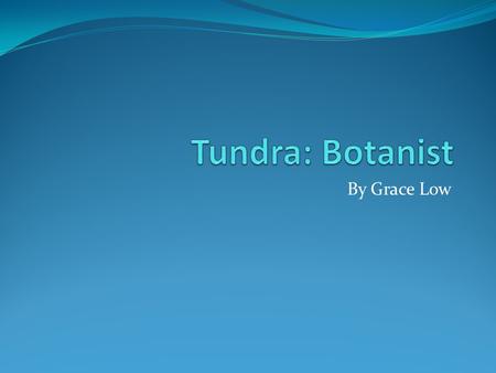 Tundra: Botanist By Grace Low.
