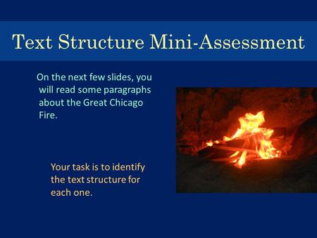 Text Structure Mini-Assessment