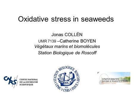 Oxidative stress in seaweeds Jonas COLLÉN UMR 7139 –Catherine BOYEN Végétaux marins et biomolécules Station Biologique de Roscoff.