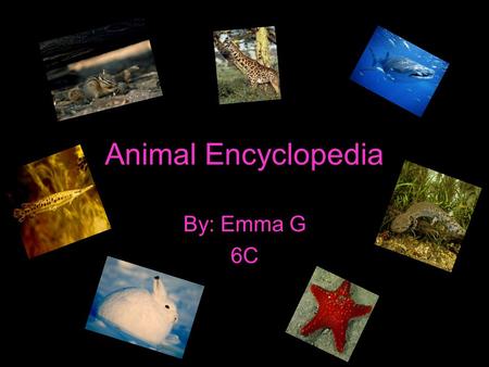 Animal Encyclopedia By: Emma G 6C. Table of contents Giraffe Taimias chipmunk Mudpuppy Whale shark Gar Arctic hare Star fish.