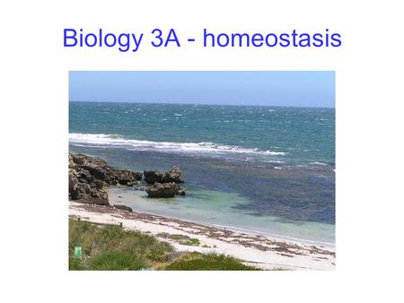 Biology 3A - homeostasis. The organism and its environment Organisms have needs and produce wastes They must survive in environments that may be inconstant.