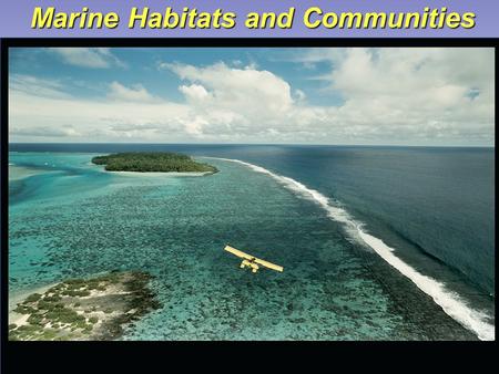 Marine Habitats and Communities. Main Concepts – Marine Habitats  Physical environment where community of organisms live is called a habitat.  Combination.
