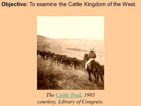 Objective: To examine the Cattle Kingdom of the West. The Cattle Trail, 1905 courtesy, Library of Congress.Cattle Trail.