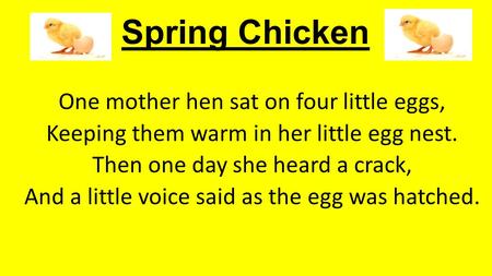 Spring Chicken One mother hen sat on four little eggs,