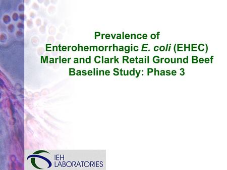 Prevalence of Enterohemorrhagic E. coli (EHEC) Marler and Clark Retail Ground Beef Baseline Study: Phase 3.