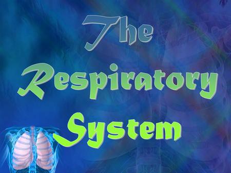The Respiratory System.