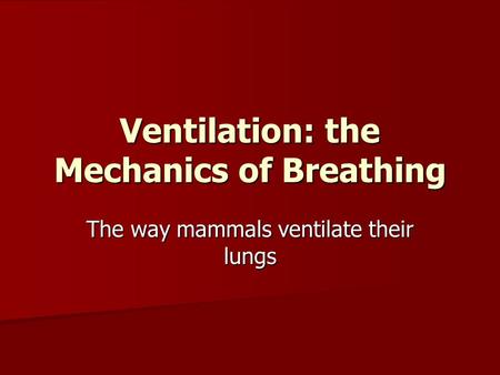 Ventilation: the Mechanics of Breathing