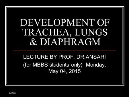 5/4/2015 1 DEVELOPMENT OF TRACHEA, LUNGS & DIAPHRAGM LECTURE BY PROF. DR.ANSARI (for MBBS students only) Monday, May 04, 2015 Monday, May 04, 2015.