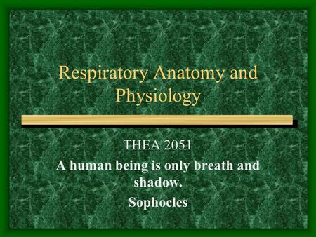 Respiratory Anatomy and Physiology THEA 2051 A human being is only breath and shadow. Sophocles.