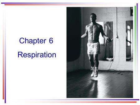 Chapter 6 Respiration. The three components of the respiratory system External respiration Gas transport Internal respiration.