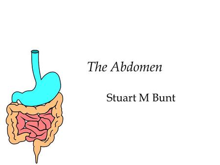 The Abdomen Stuart M Bunt Functional Anatomy 212
