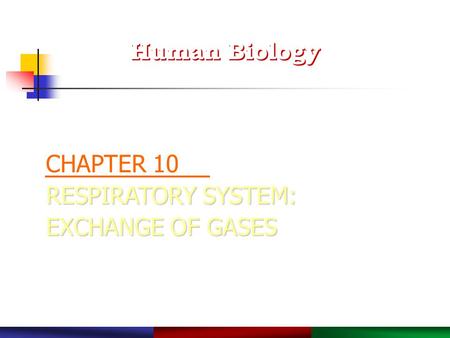 Copyright © 2003 Pearson Education, Inc. publishing as Benjamin Cummings. RESPIRATORY SYSTEM: EXCHANGE OF GASES CHAPTER 10 RESPIRATORY SYSTEM: EXCHANGE.
