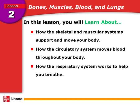Bones, Muscles, Blood, and Lungs