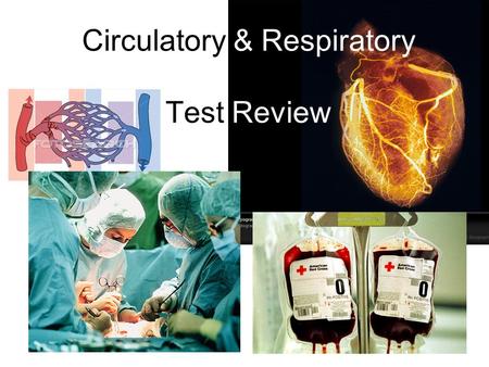 Circulatory & Respiratory Test Review. The chambers of the heart that pump blood to the lungs and the rest of the body? A)Capillaries B)Ventricles C)Atria.