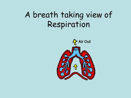 A breath taking view of Respiration. Respiratory System: Primary function is to obtain oxygen for use by body's cells & eliminate carbon dioxide that.