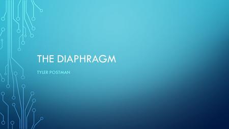 THE DIAPHRAGM TYLER POSTMAN. THE BASICS OF THE DIAPHRAGM It is part of the respiratory system It is found in the thoracic cavity or chest Separates the.