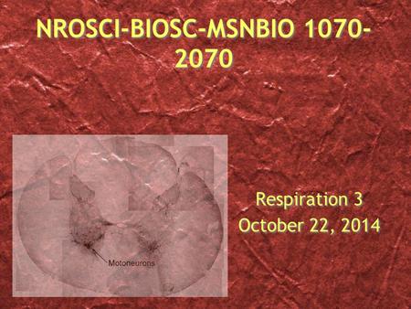 NROSCI-BIOSC-MSNBIO 1070- 2070 Respiration 3 October 22, 2014 Respiration 3 October 22, 2014.