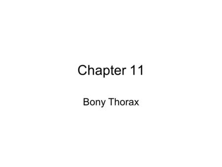 Chapter 11 Bony Thorax. 1 _____________ 12 __________ Vertebrae 12 pairs of _________.