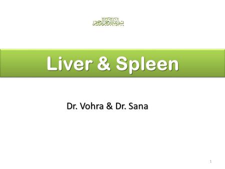 Liver & Spleen Dr. Vohra & Dr. Sana.