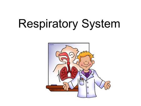 Respiratory System. The respiratory system is the system of the body that brings in oxygen from the air and takes away carbon dioxide. –The body needs.