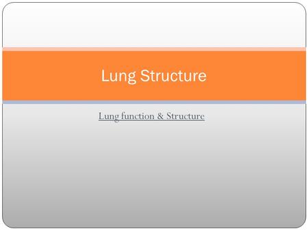 Lung function & Structure