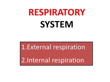 RESPIRATORY SYSTEM External respiration Internal respiration.
